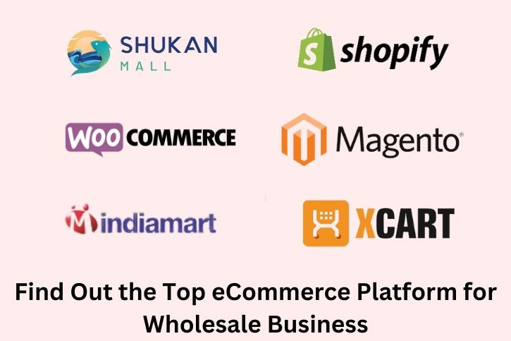 Find Out the Top eCommerce Platform for Wholesale Business